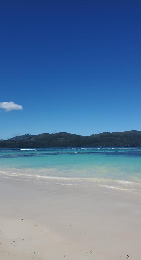 Yes Papa! Rooms Only 100M From The Beach! Las Galeras Exteriör bild