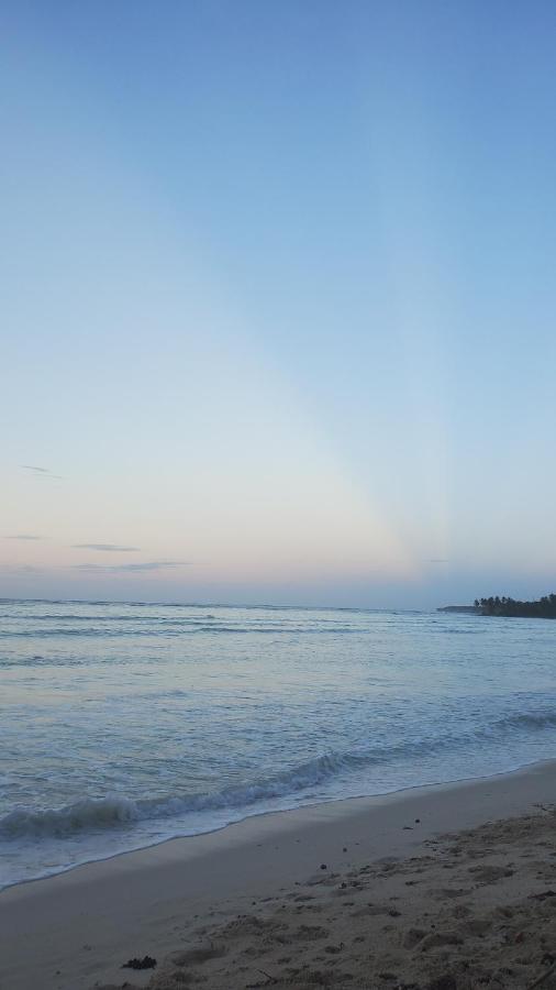 Yes Papa! Rooms Only 100M From The Beach! Las Galeras Exteriör bild